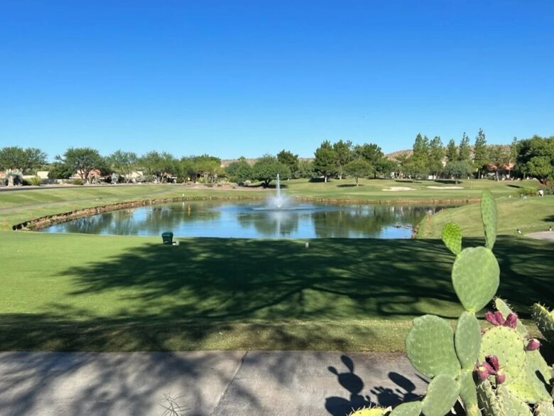 SaddleBrooke YukiBird Villa - Saddlebrooke, Arizona