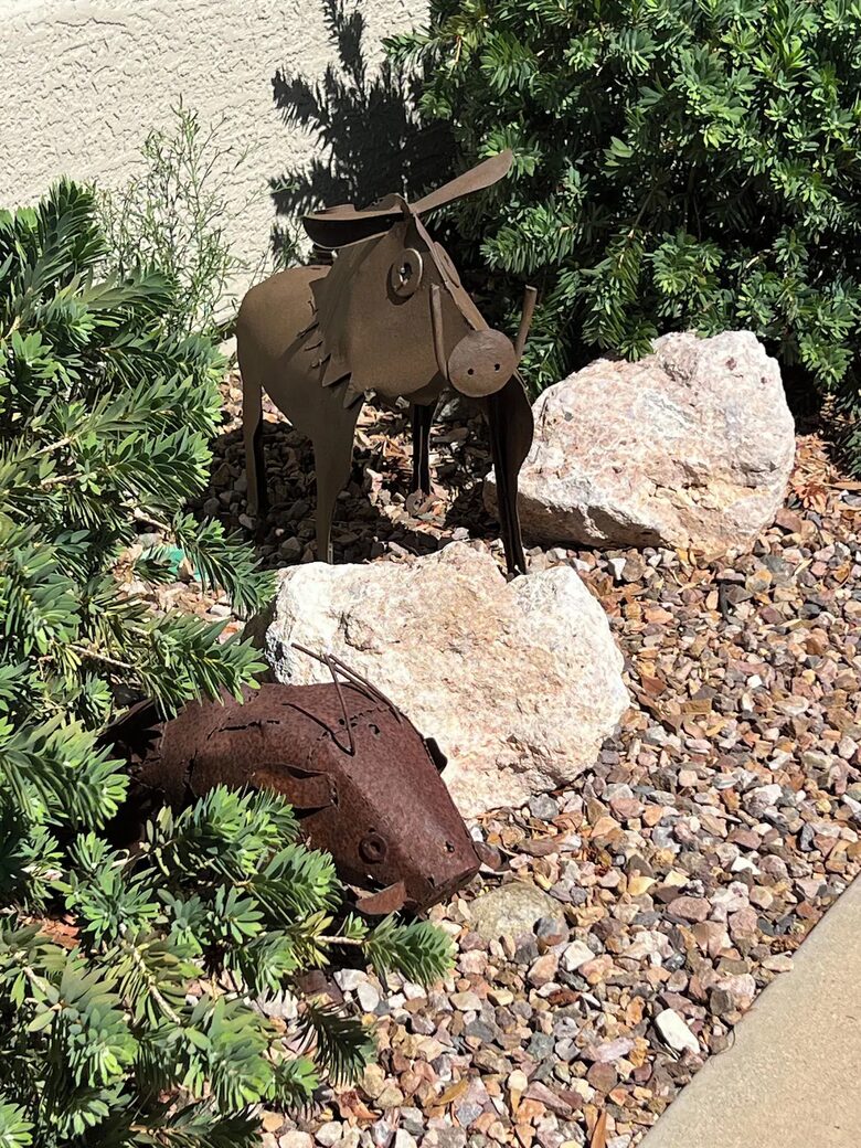 SaddleBrooke YukiBird Villa - Saddlebrooke, Arizona