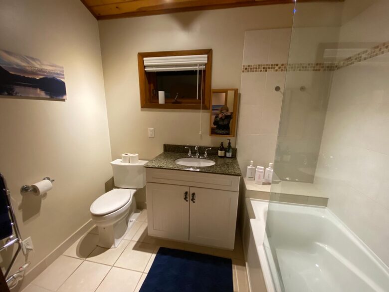 Guest bathroom