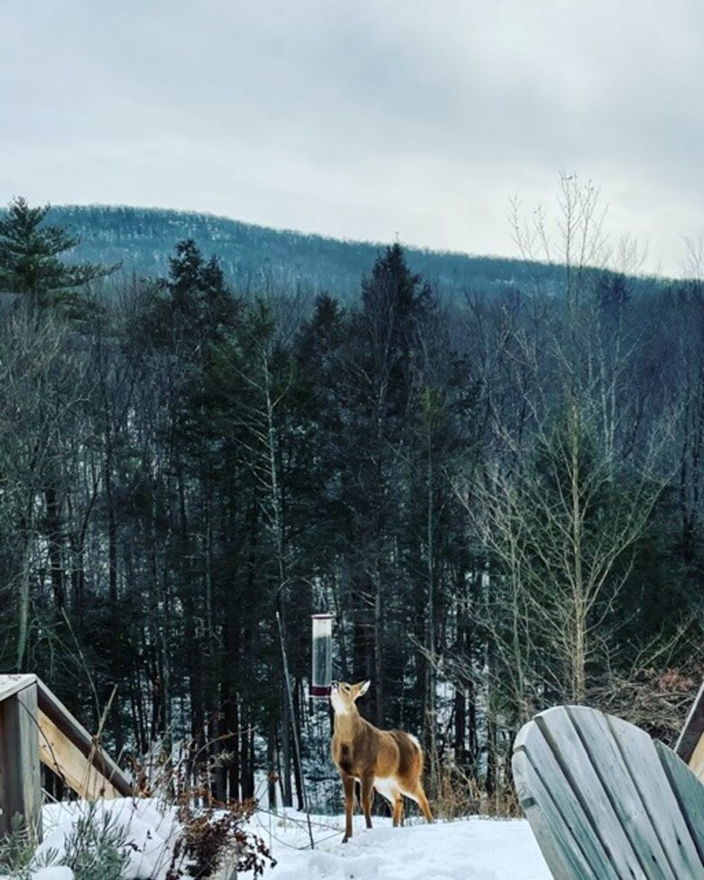 Woodstock Zen Getaway - Mt Tremper, New York