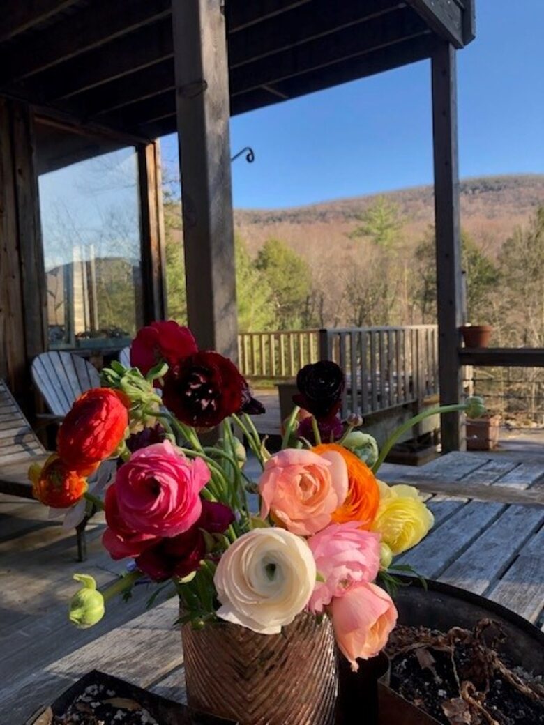 Woodstock Zen Getaway - Mt Tremper, New York