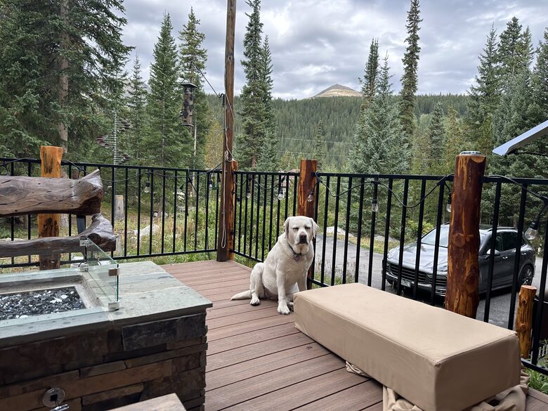 Large Log Home on a Private Acre with a Pond - Breckenridge, Colorado