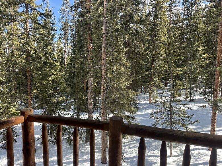 Large Log Home on a Private Acre with a Pond - Breckenridge, Colorado