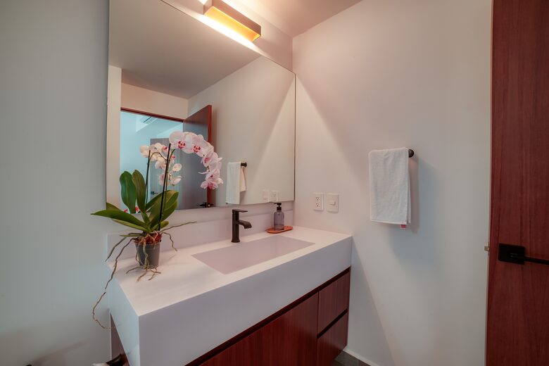 Stunning Riverfront Penthouse with Ocean views - Puerto Vallarta, Mexico