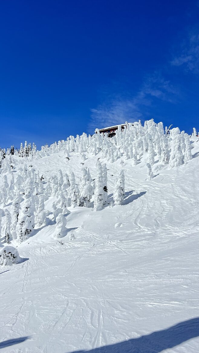 The Summit on top of the mountain on a nice snowy day