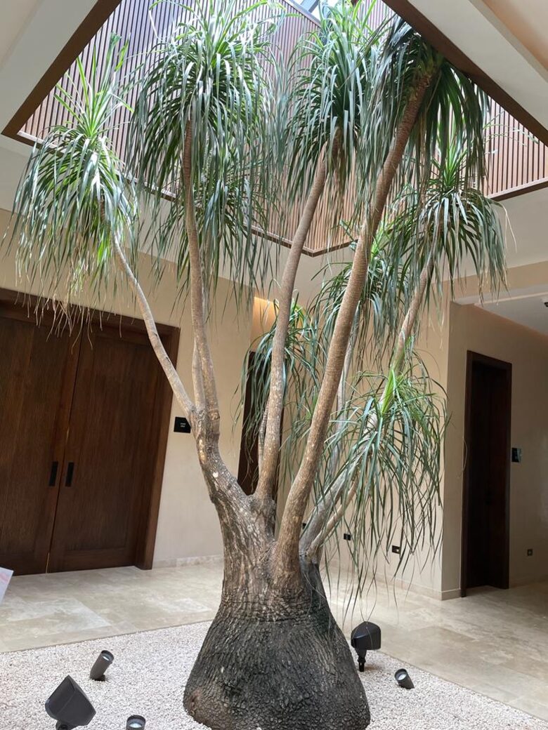 Tres Palmas Villa with gorgeous golf, lake & ocean horizon views - Casa de Campo, Dominican Republic