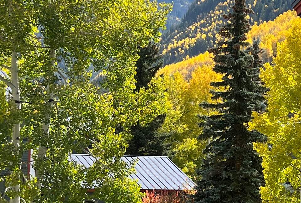Telluride Town Escape - Telluride, Colorado