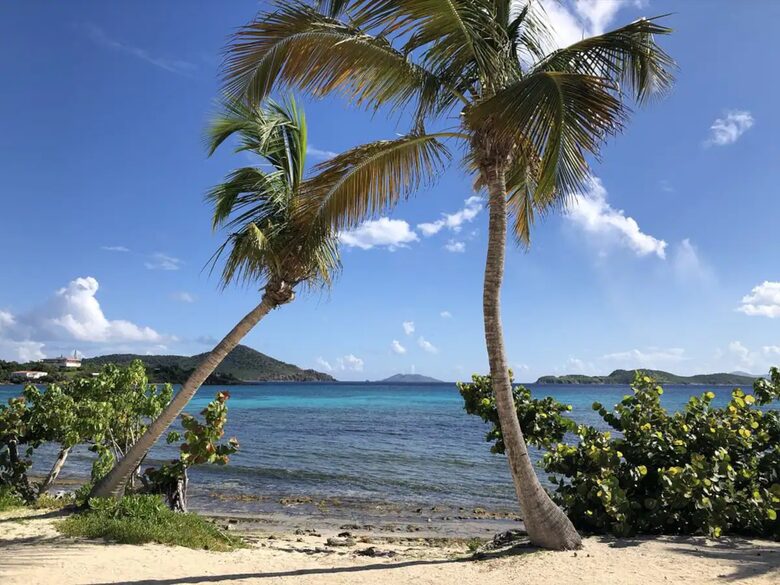 Sapphire Palms & Sunrises - St Thomas, Virgin Islands, U.S.