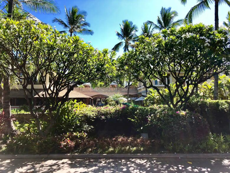 Wailea Beach Villas - Wailea, Hawaii