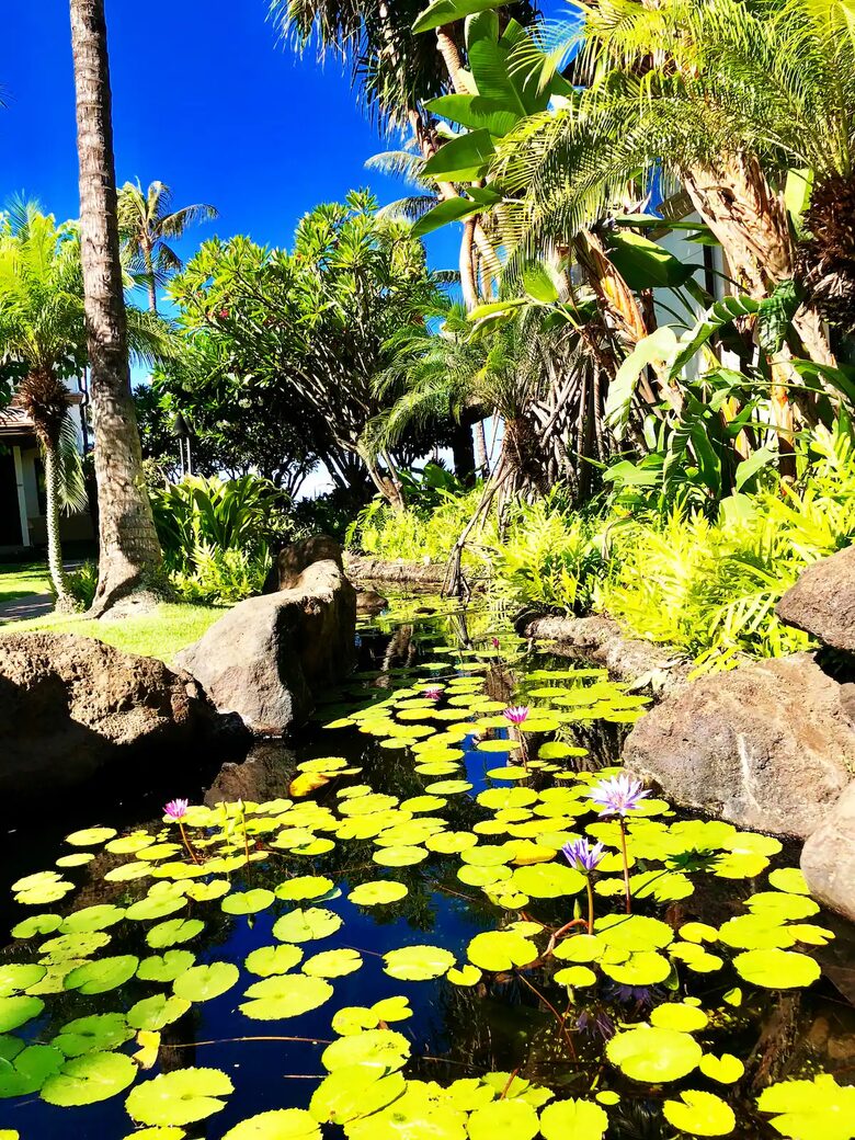 Wailea Beach Villas - Wailea, Hawaii