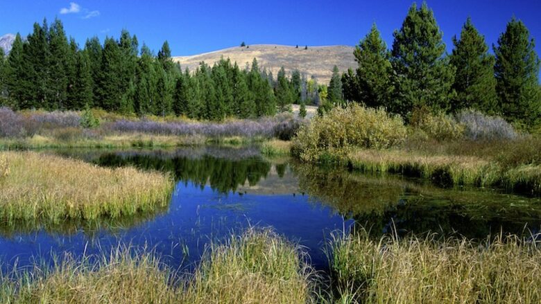 The Hemingways - 4 Bedroom Residence - Sun Valley, Idaho