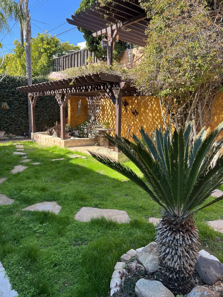 Backyard Lawn