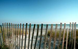 Gift From the Sea - Figure 8 Island, North Carolina