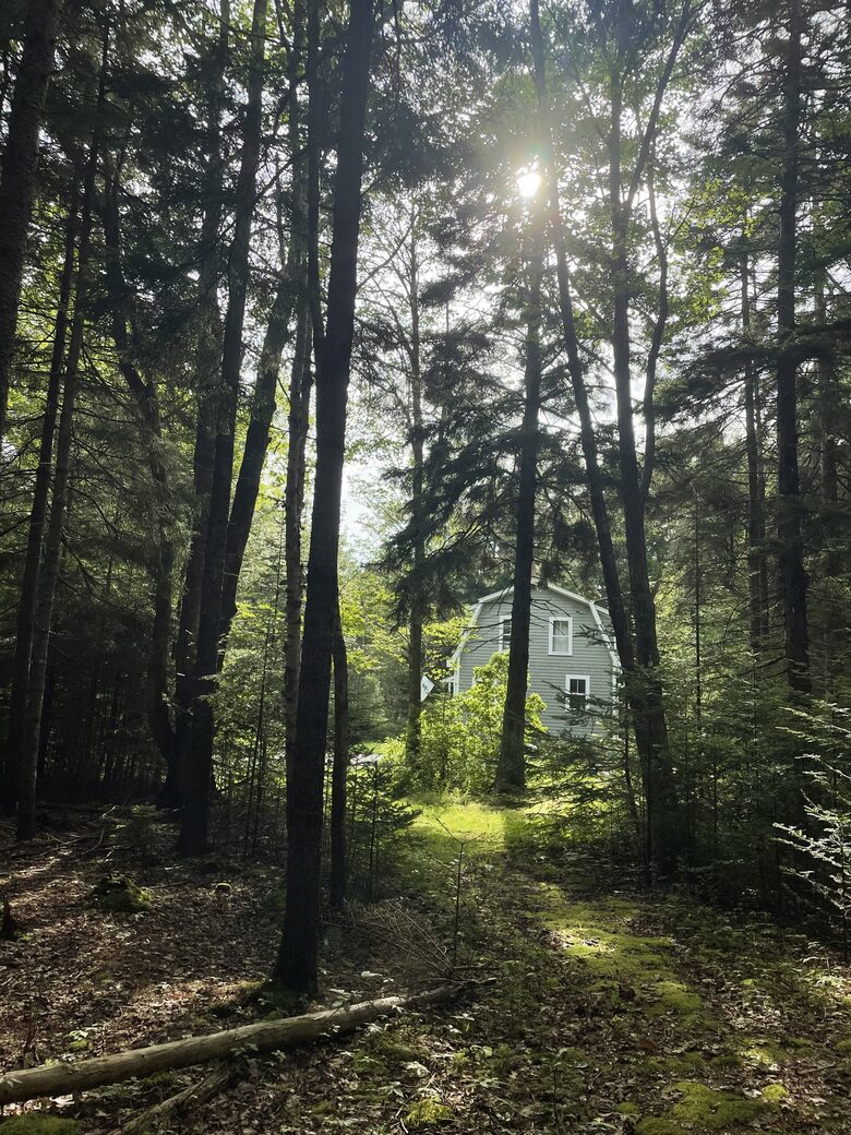 Modern Cottage on a Wooded Lot with Beach Access - New Harbor, Maine
