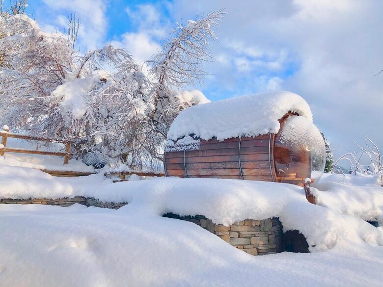 Chalet Les Cerises - Cordon, France