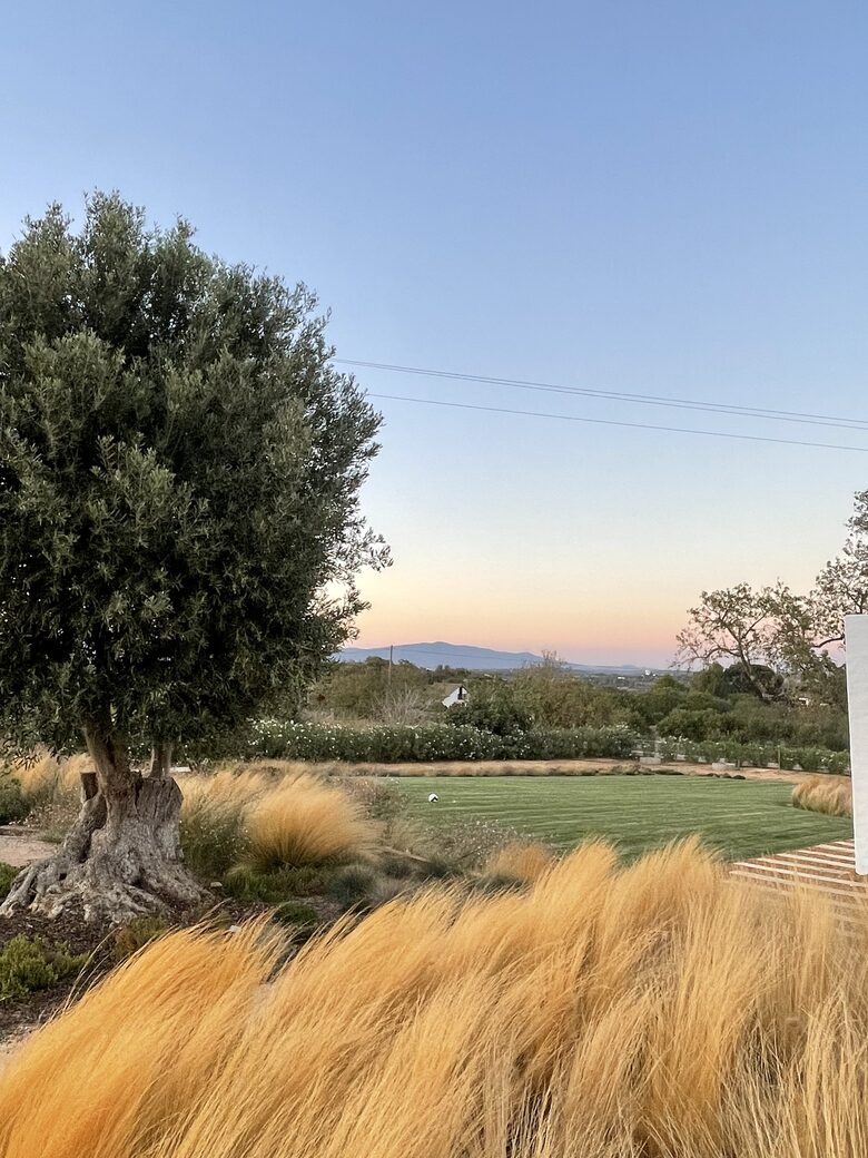 Casa Pintas - Mexilhoeira Grande, Portugal