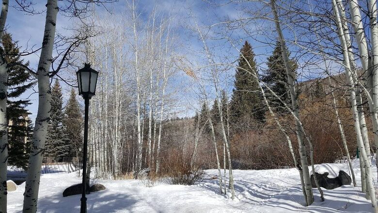 Remodeled Ski-In/Ski-Out Beaver Creek Family Escape - Beaver Creek, Colorado