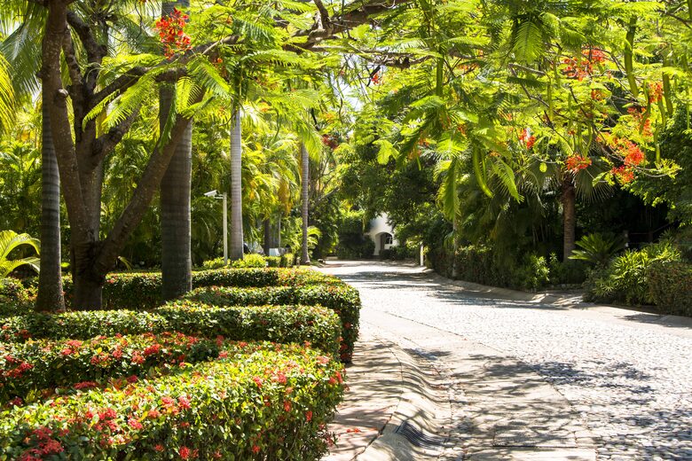 Inside gardens