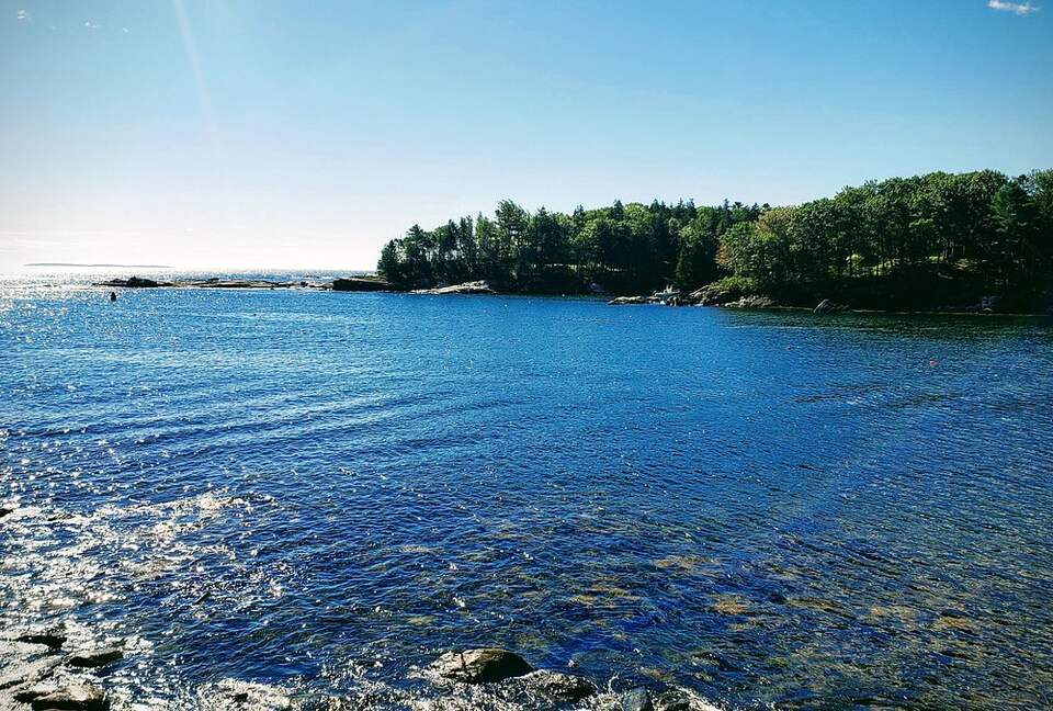 Modern Cottage on a Wooded Lot with Beach Access - New Harbor, Maine