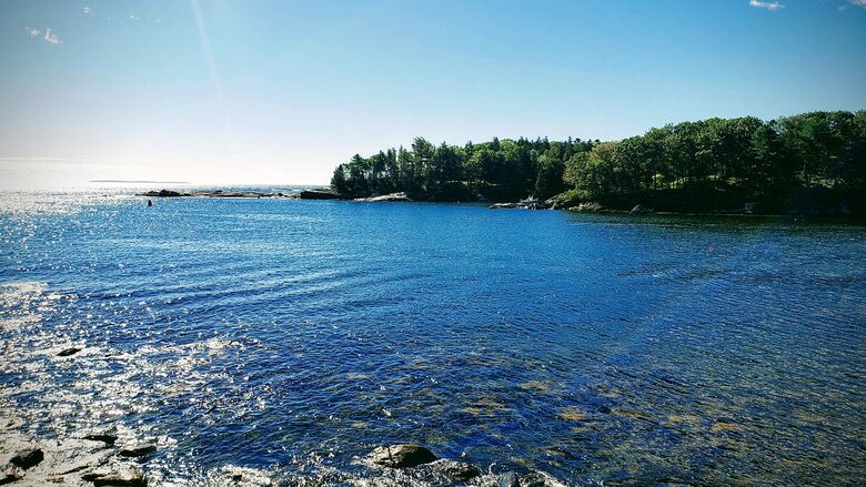 Modern Cottage on a Wooded Lot with Beach Access - New Harbor, Maine