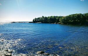 Modern Cottage on a Wooded Lot with Beach Access - New Harbor, Maine