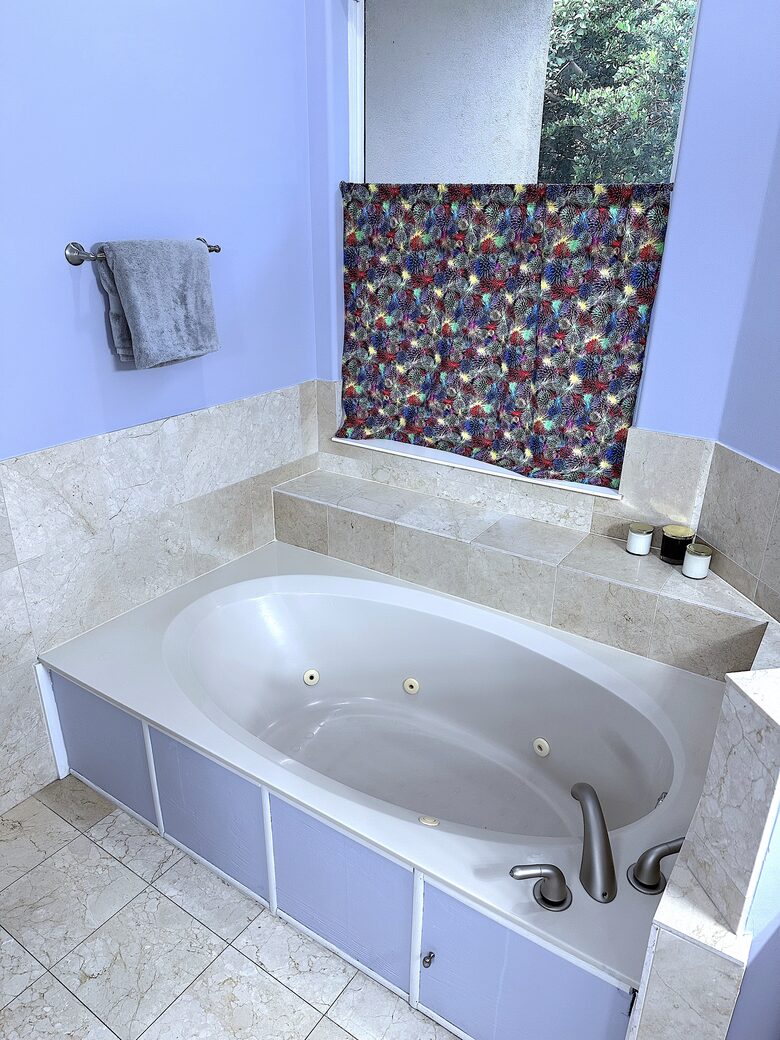 Master bathroom tub