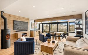 Aspen Villa - Aspen, Colorado