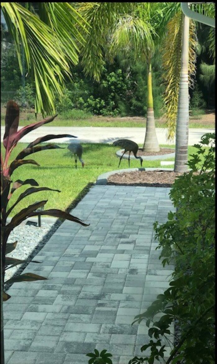 Mermaid Tales - Cape Coral, Florida