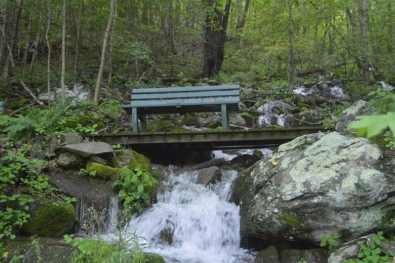 Tethys Mountain Retreat - Free Union, Virginia