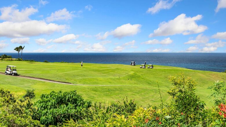 Hale Makai, Spectacular Ocean & Golf Views - Princeville, Hawaii