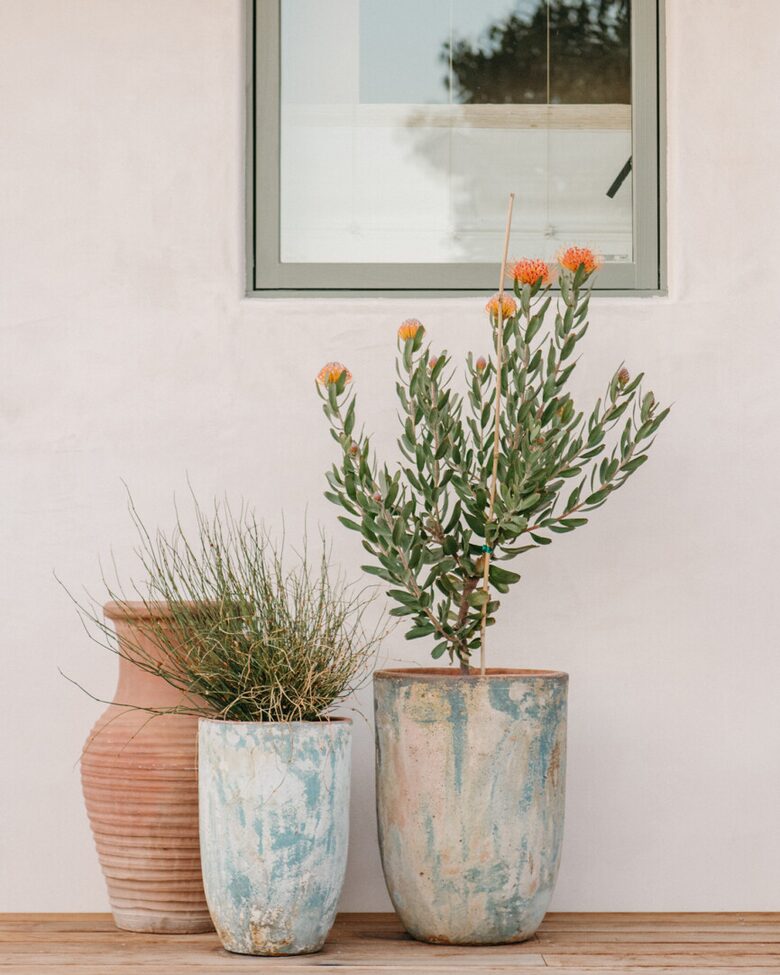 Four Feathers Farmhouse Villa - Montecito, California