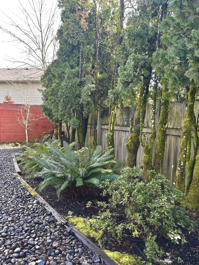 Charming Home Polk County - Dallas, Oregon