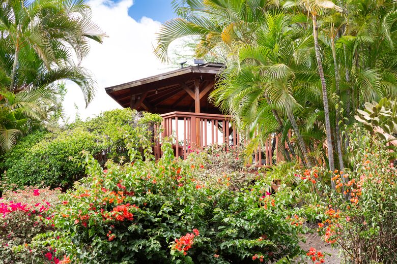 Big Island Hawaiian Paradise With Heated Pool - Kailua-Kona, Hawaii