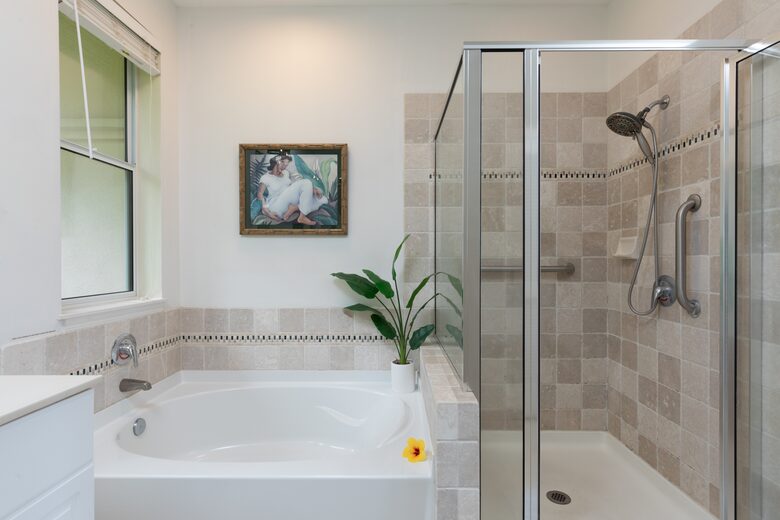 Master bathroom with walk-in shower and tub