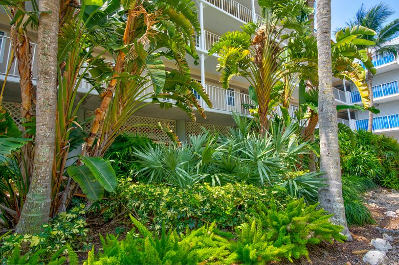 Sea Side Dreams at Ocean Pointe Resort in Key Largo - Tavernier, Florida
