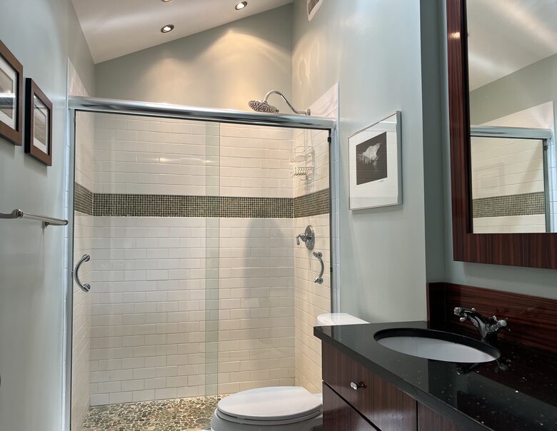 Master bath with vaulted ceiling & skylight