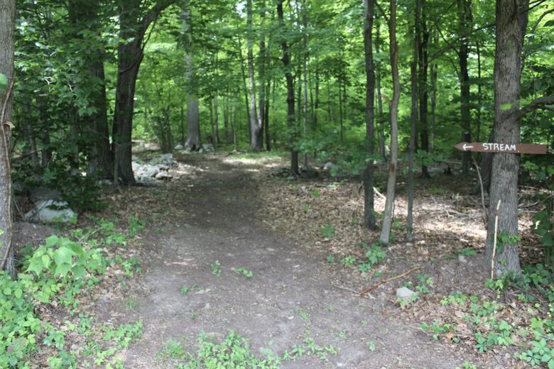 Lavender Hill Estate | Private 37 acres,1.5 hour from NYC, Heated Pool, Jacuzzi - Pine Bush, New York