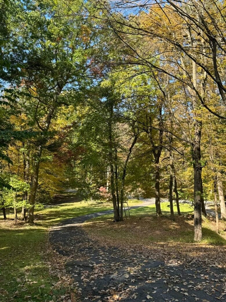 Approach to house from street