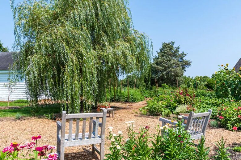 Cedar Cove Retreat | 13 Bedrooms Waterfront Estate with, Pool, Gym, and more - St. Michaels, Maryland