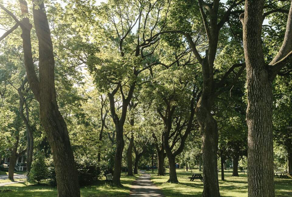 Outremont Park - Outremont, Canada