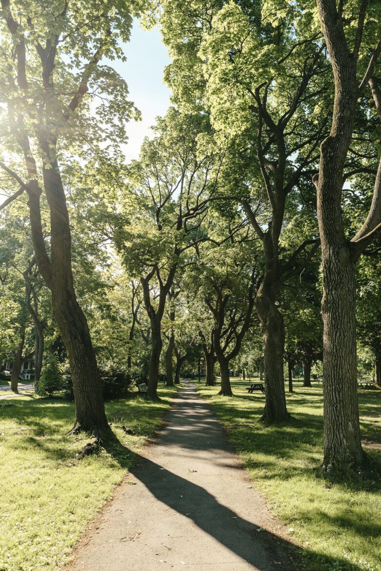 Outremont Park - Outremont, Canada
