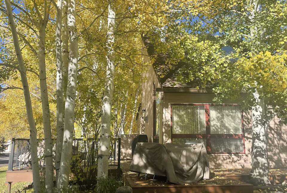 Beaver Creek Getaway - Eagle Vail, Colorado