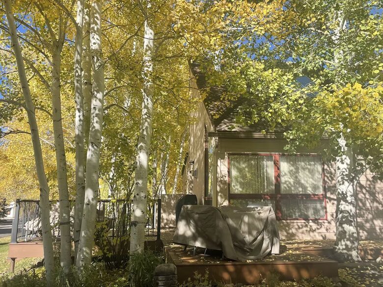 Beaver Creek Getaway - Eagle Vail, Colorado