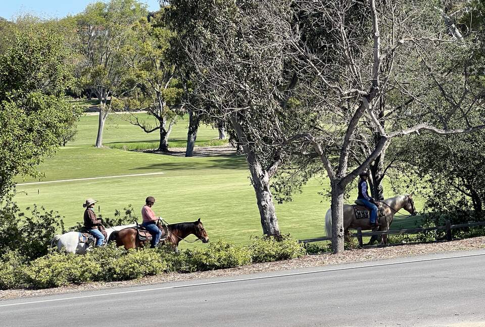 Peaceful Studio Retreat with Sensational Golf Course View and Natural Surroundings - Rancho Santa Fe, California