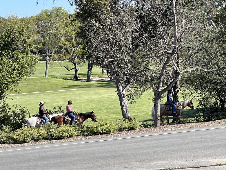 Peaceful Studio Retreat with Sensational Golf Course View and Natural Surroundings - Rancho Santa Fe, California