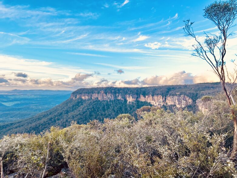 W I L D A C R E S Luxe Lodge on 40 Acres in the UNESCO World Heritage Blue Mountains - Blackheath, Australia