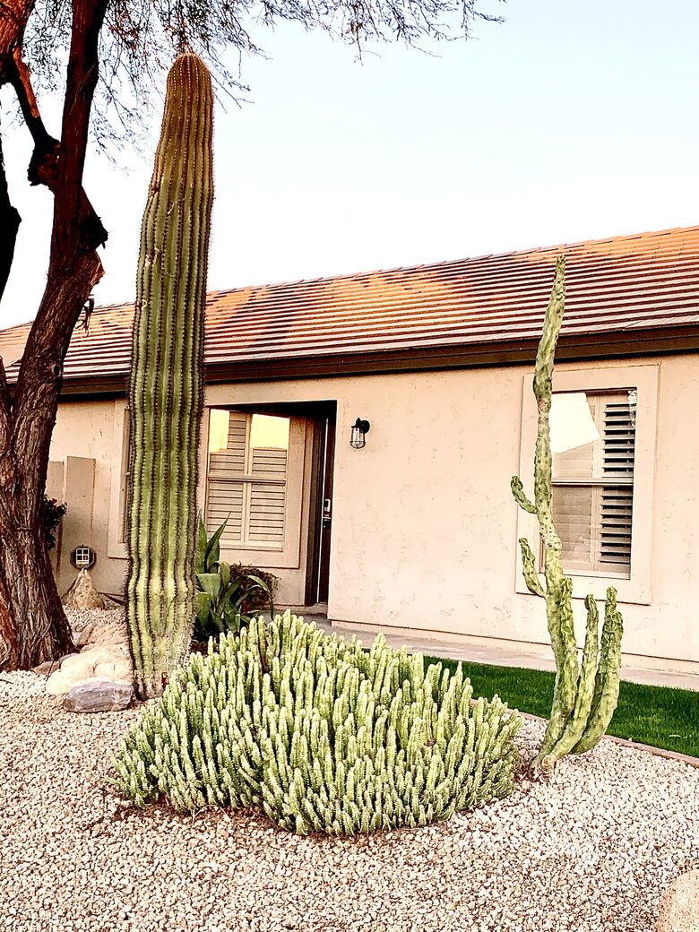 Prime Location Phoenix/Scottsdale Home With Spa - Phoenix, Arizona