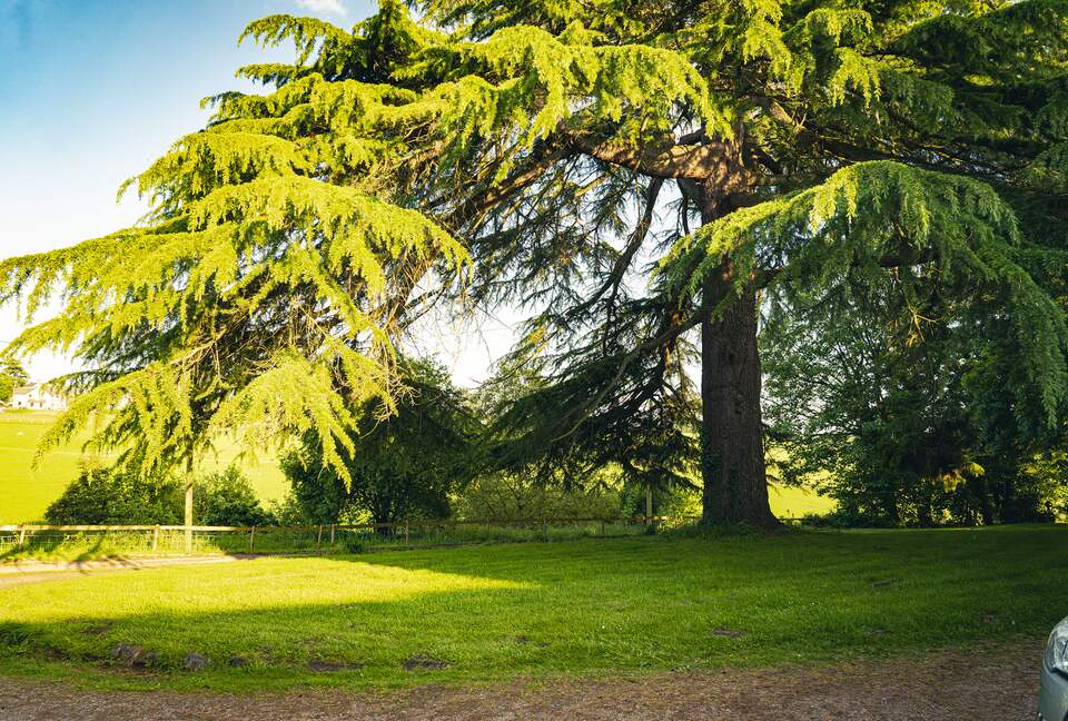 Bicknor Court - Coleford, United Kingdom