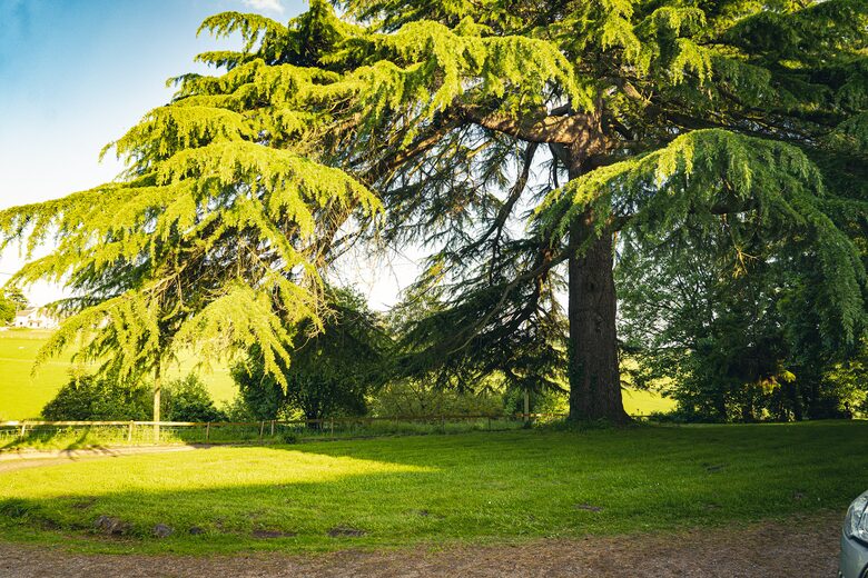 Bicknor Court - Coleford, United Kingdom