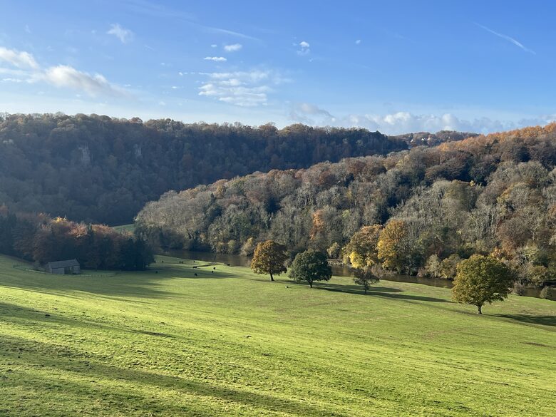 Bicknor Court - Coleford, United Kingdom